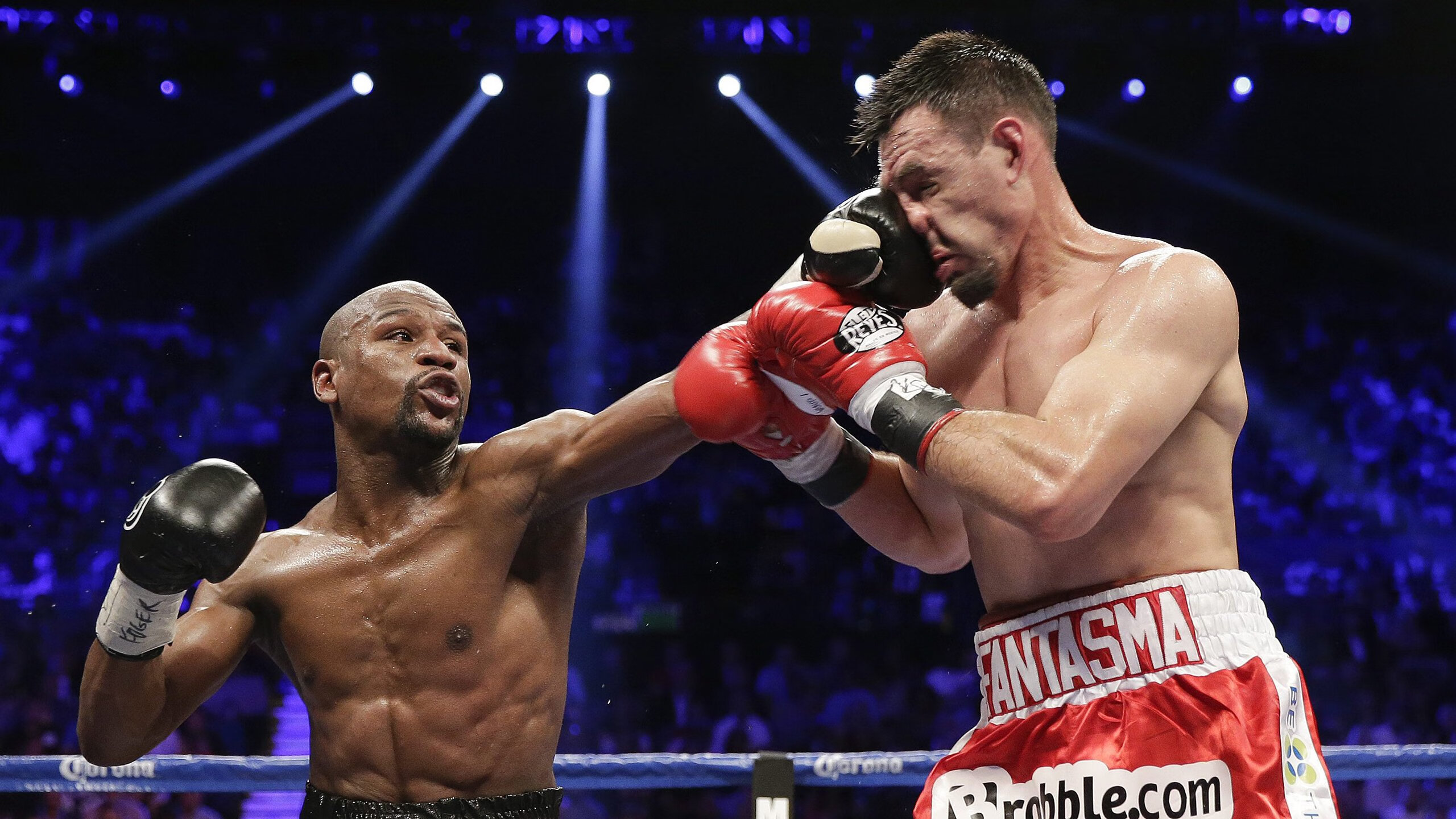 运动营养品市场监管政策执行情况分析,我国运动营养食品的使用国家标准